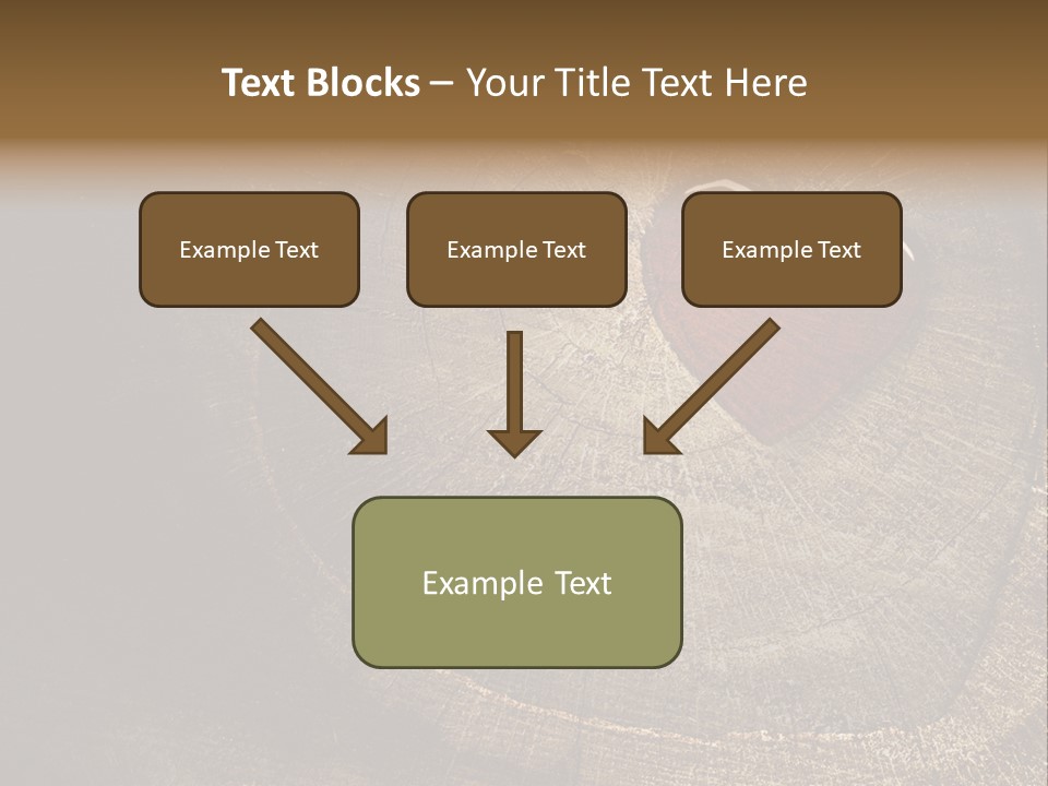 Years Nature Sun PowerPoint Template