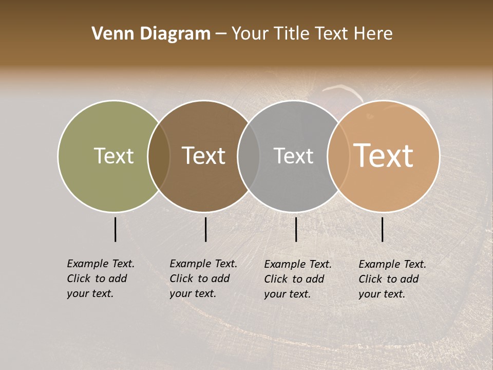 Years Nature Sun PowerPoint Template