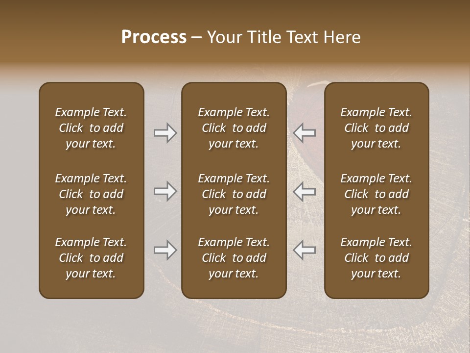 Years Nature Sun PowerPoint Template