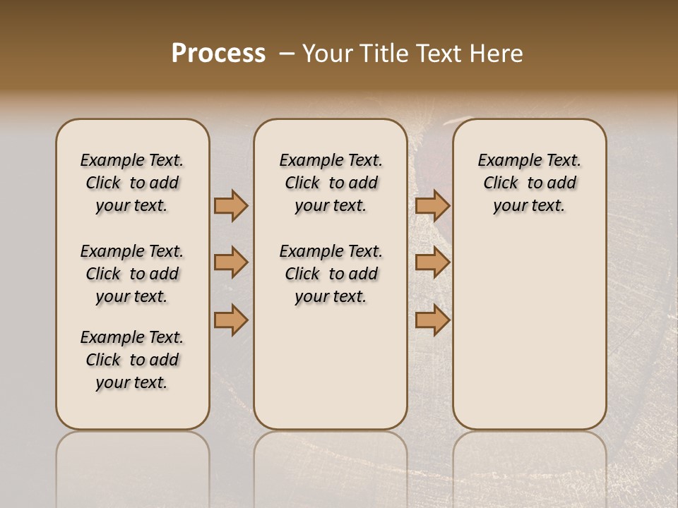 Years Nature Sun PowerPoint Template