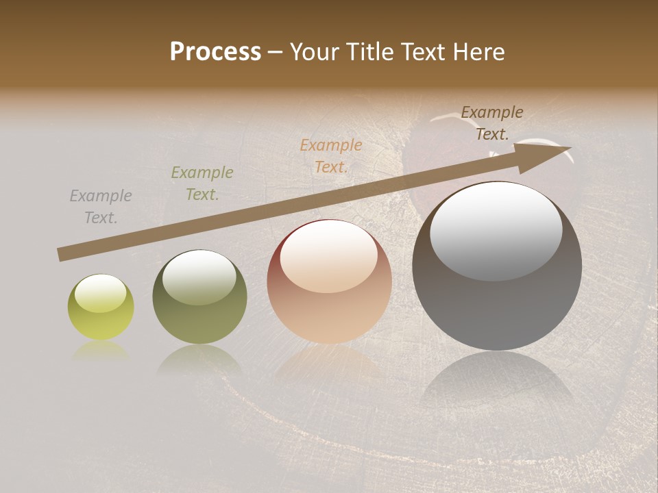Years Nature Sun PowerPoint Template