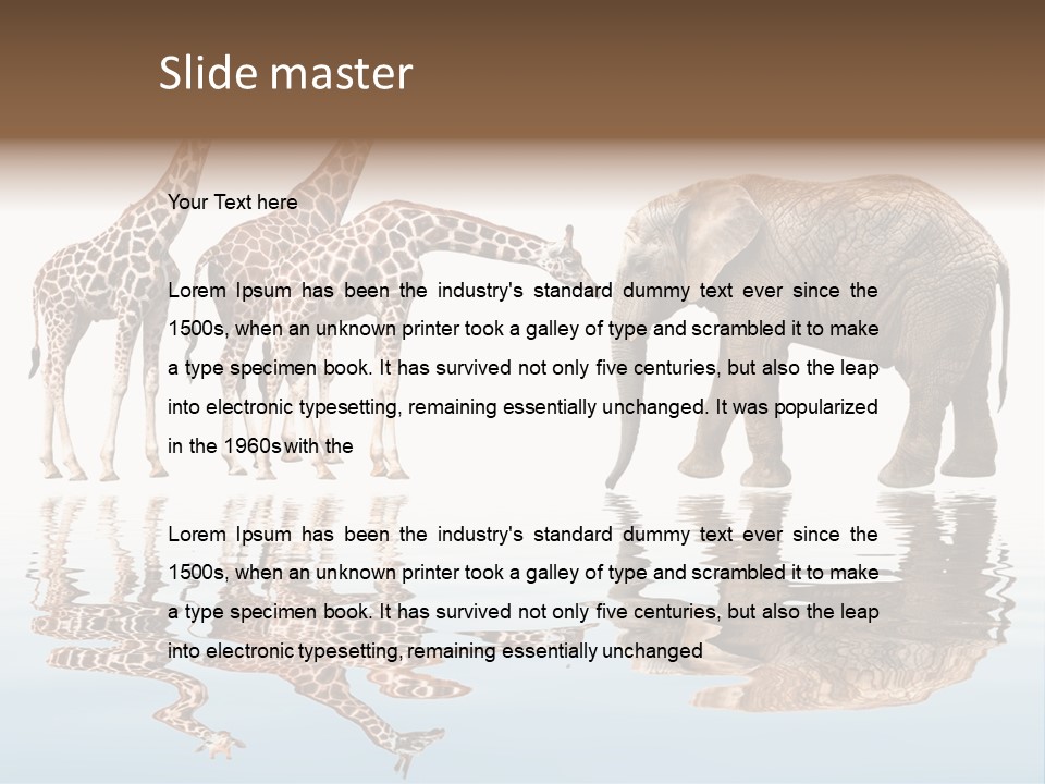 Enormous Neck Africa PowerPoint Template