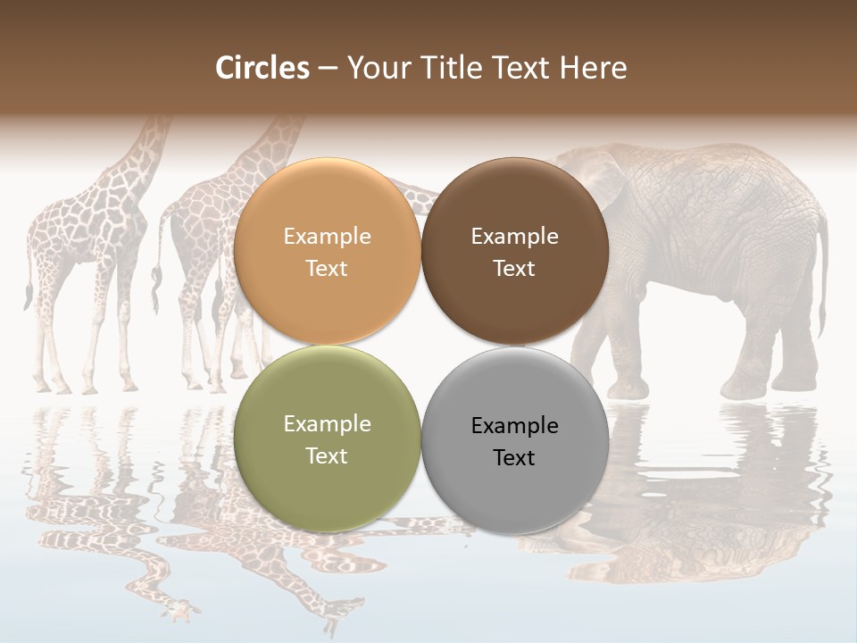 Enormous Neck Africa PowerPoint Template