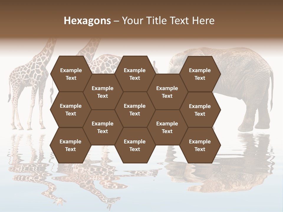 Enormous Neck Africa PowerPoint Template