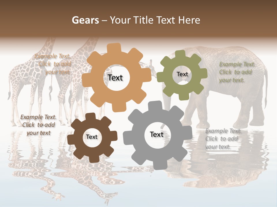 Enormous Neck Africa PowerPoint Template