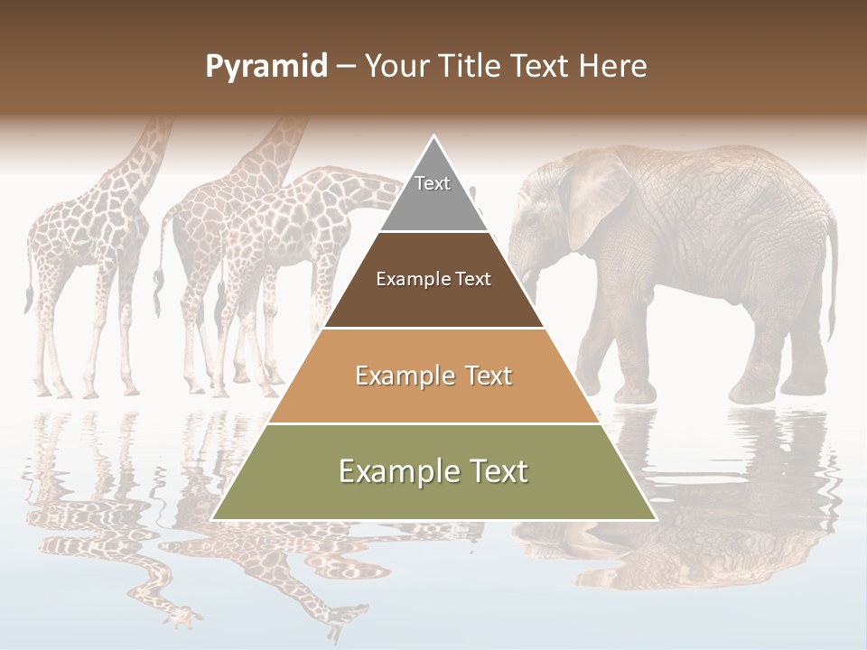 Enormous Neck Africa PowerPoint Template