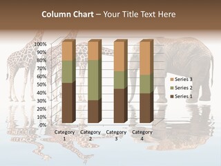 Enormous Neck Africa PowerPoint Template