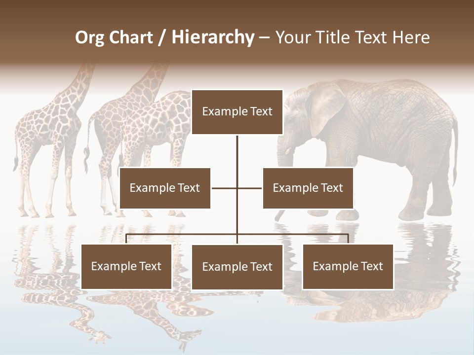 Enormous Neck Africa PowerPoint Template