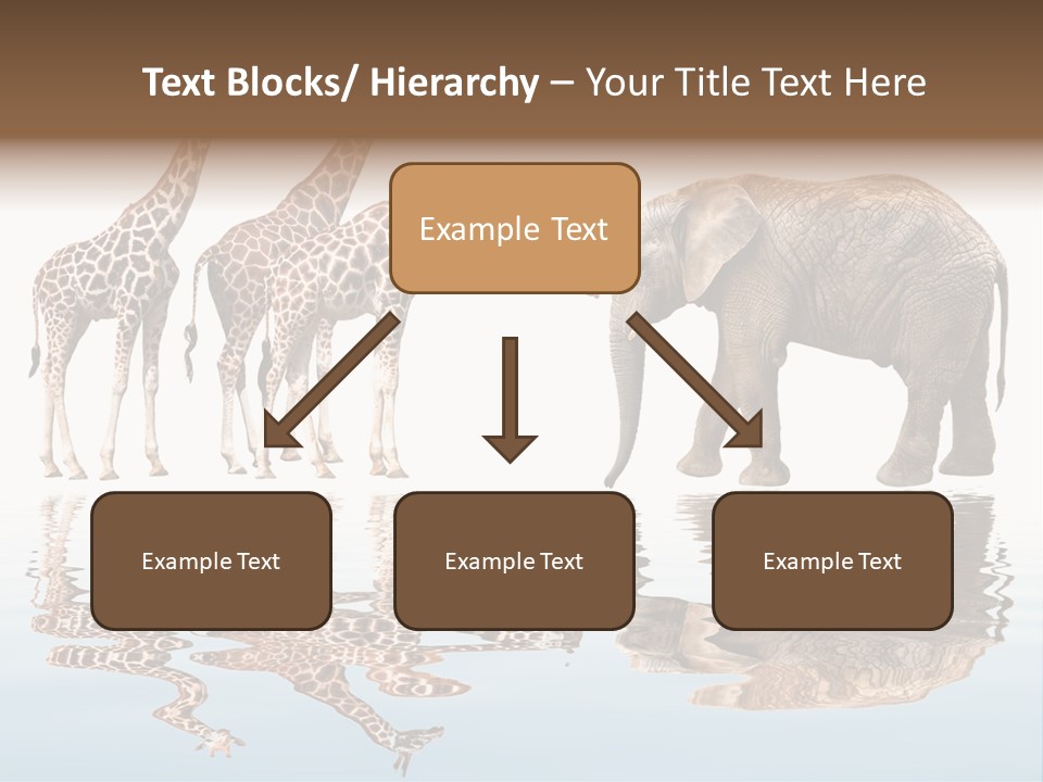 Enormous Neck Africa PowerPoint Template