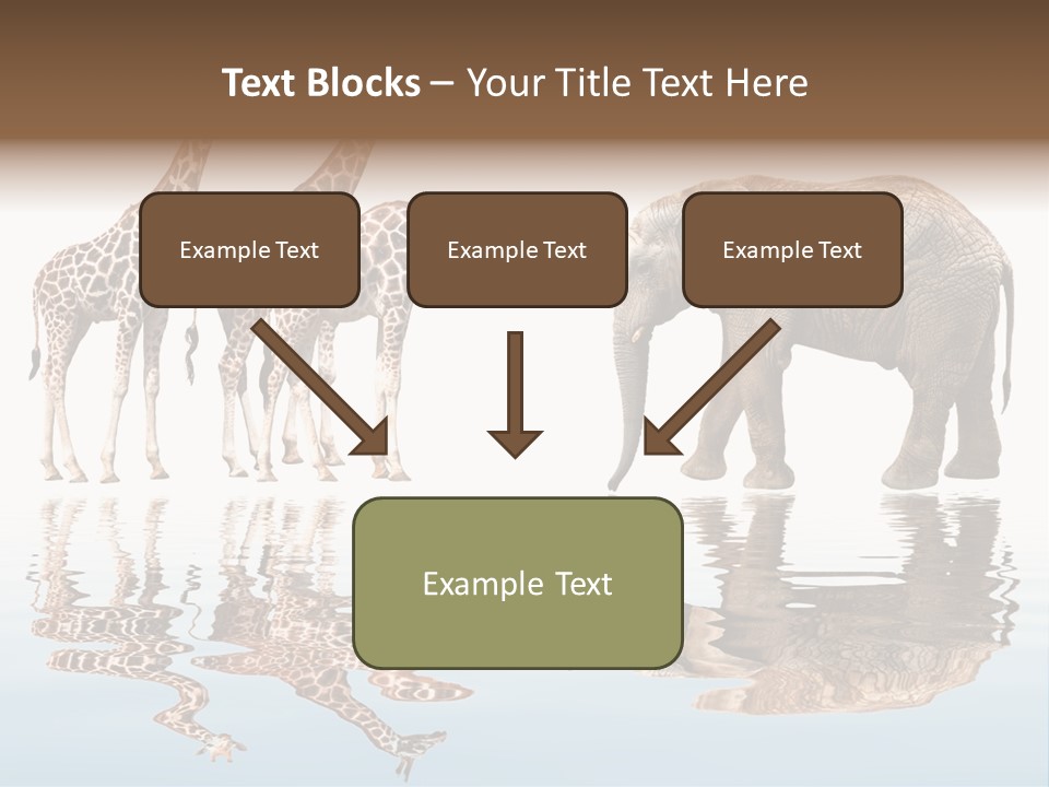 Enormous Neck Africa PowerPoint Template