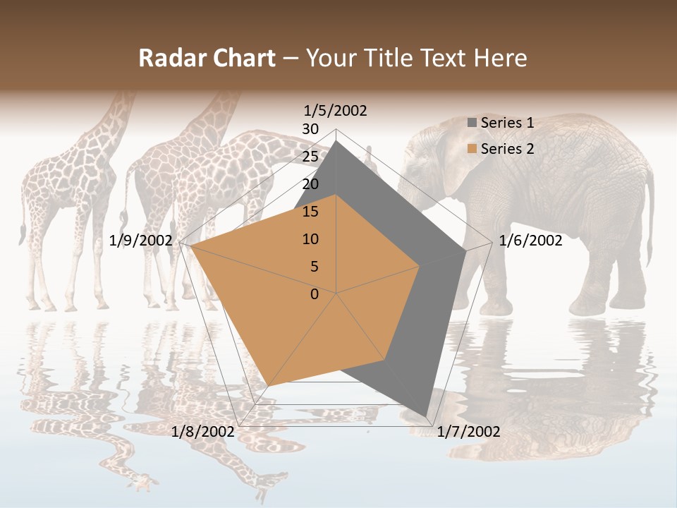 Enormous Neck Africa PowerPoint Template
