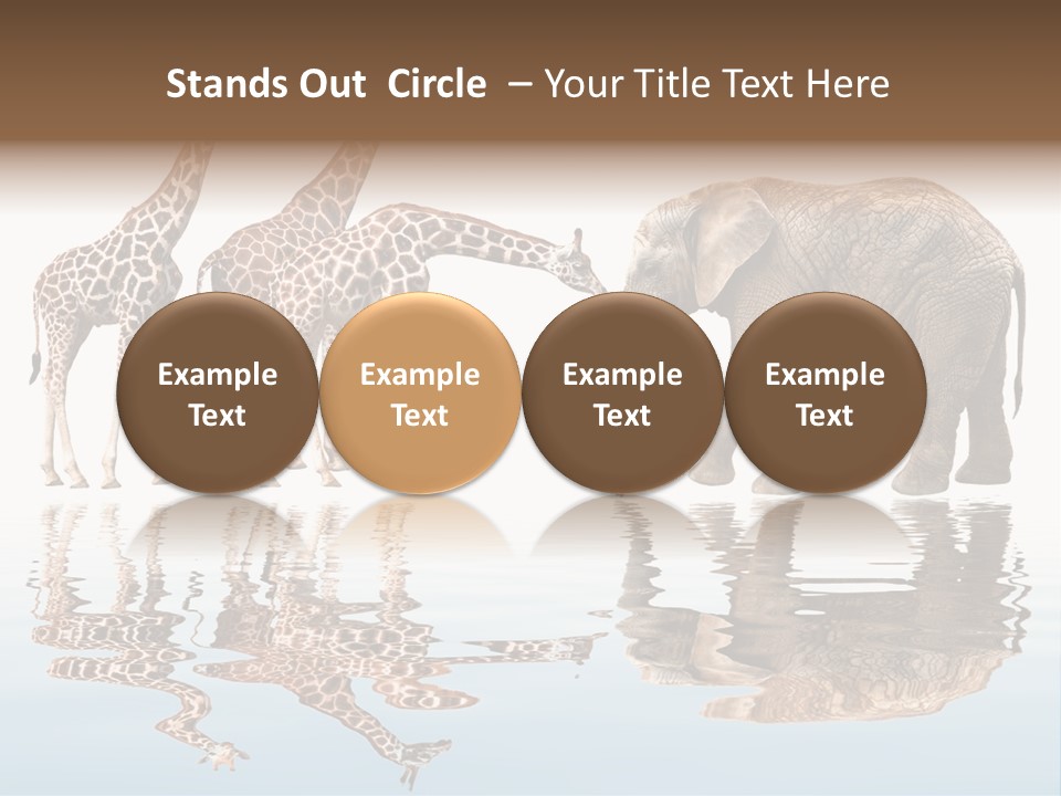 Enormous Neck Africa PowerPoint Template