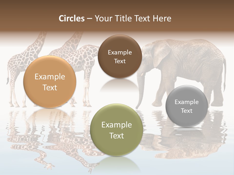 Enormous Neck Africa PowerPoint Template