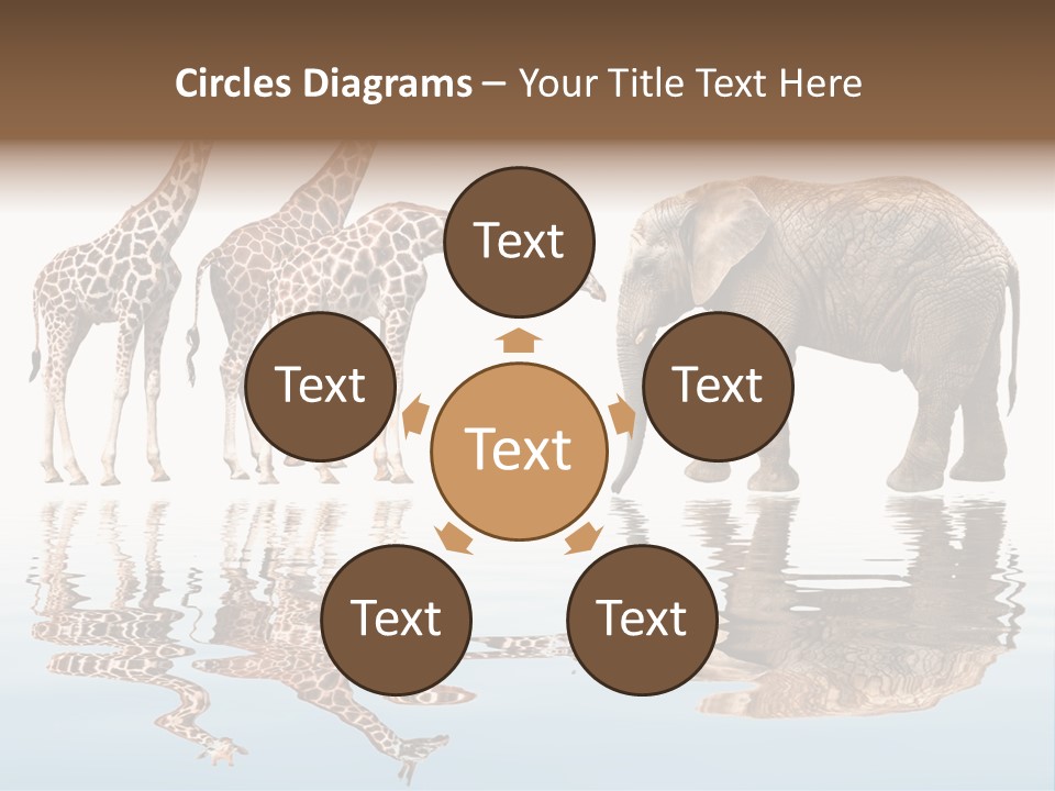 Enormous Neck Africa PowerPoint Template