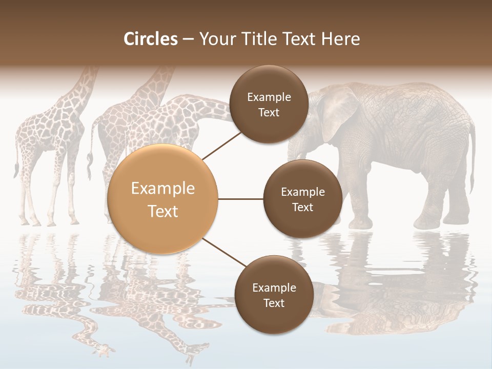 Enormous Neck Africa PowerPoint Template