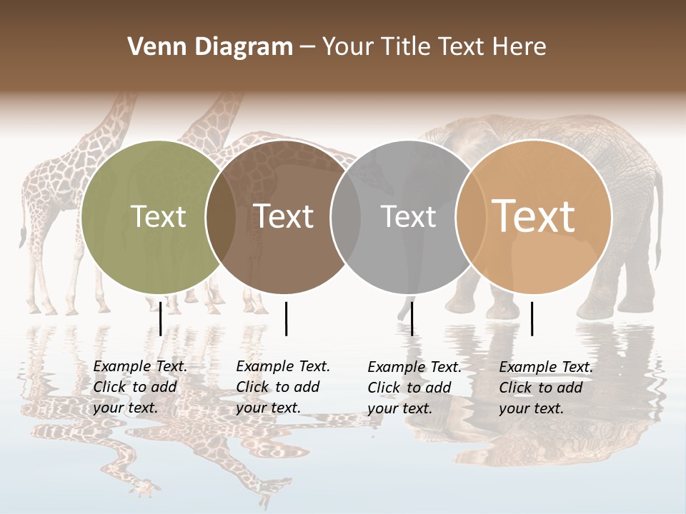 Enormous Neck Africa PowerPoint Template