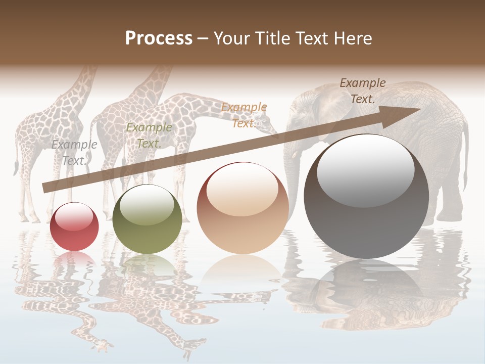 Enormous Neck Africa PowerPoint Template