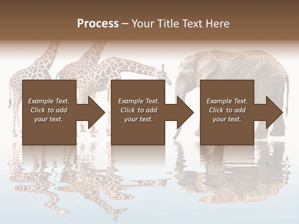 Enormous Neck Africa PowerPoint Template
