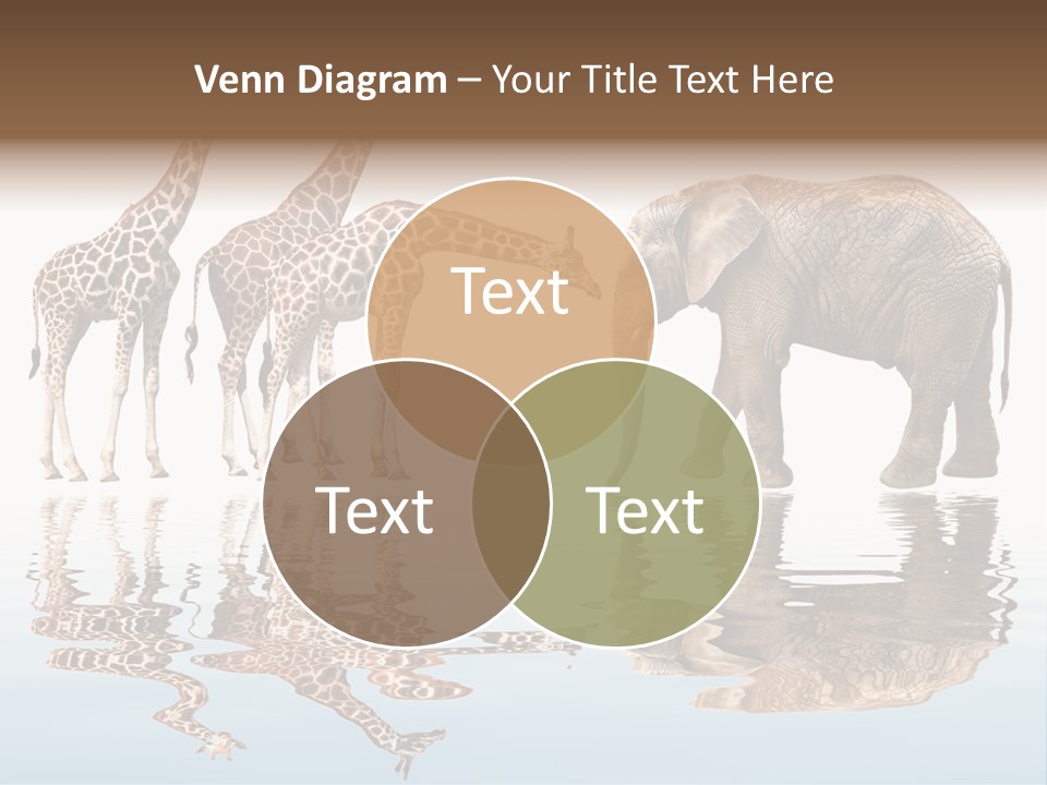 Enormous Neck Africa PowerPoint Template