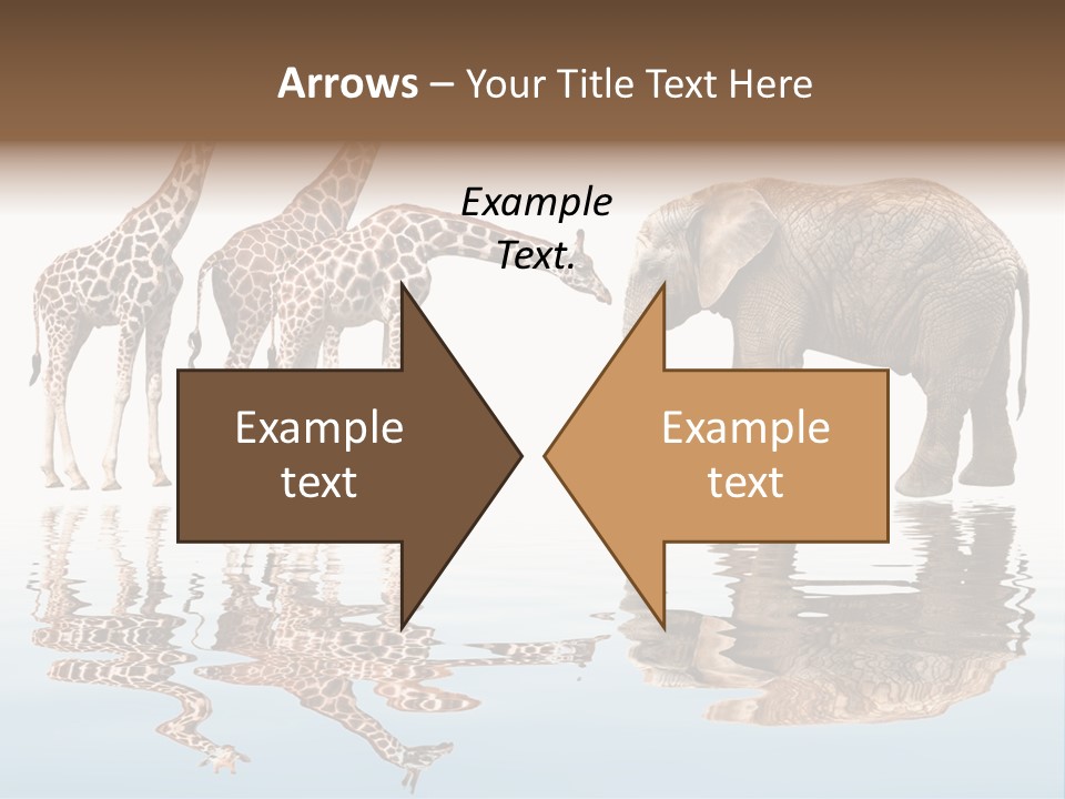 Enormous Neck Africa PowerPoint Template