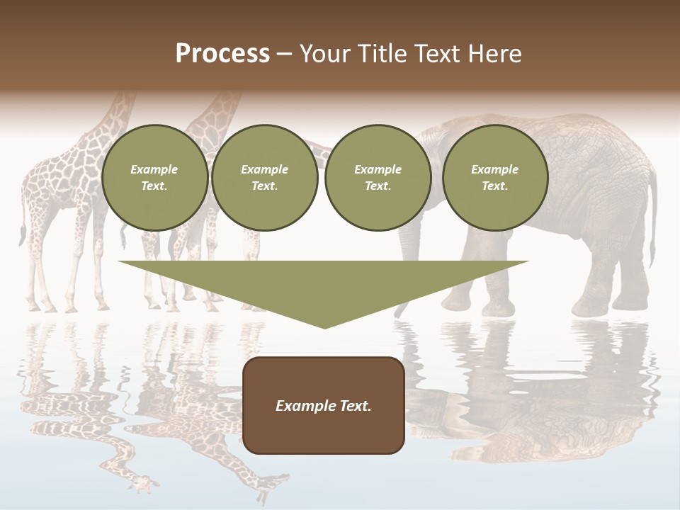 Enormous Neck Africa PowerPoint Template