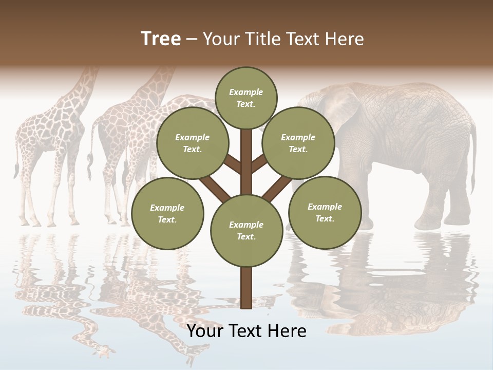 Enormous Neck Africa PowerPoint Template