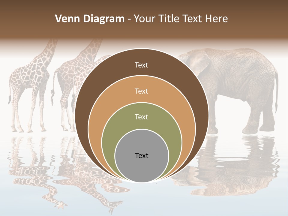 Enormous Neck Africa PowerPoint Template