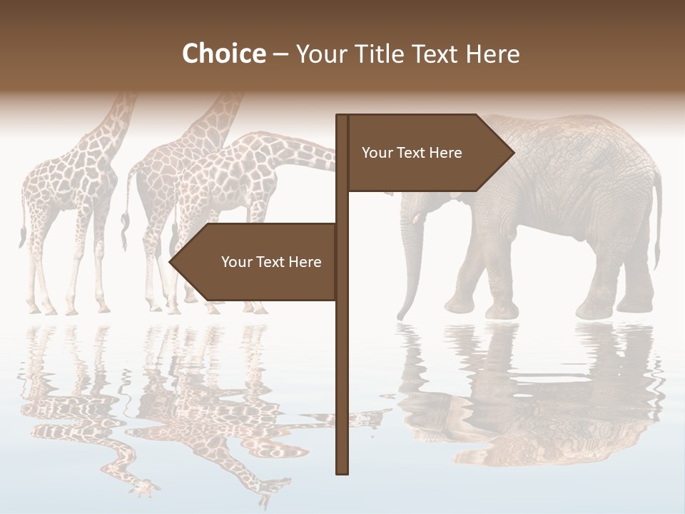 Enormous Neck Africa PowerPoint Template