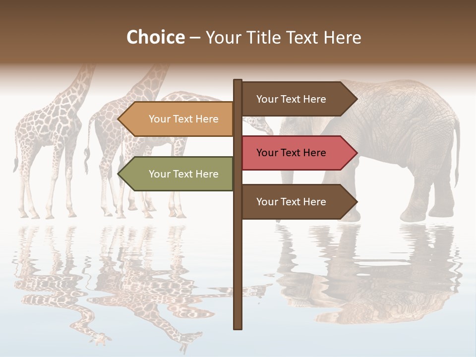 Enormous Neck Africa PowerPoint Template