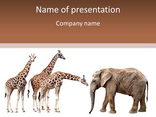 Tall Closeup Powerful PowerPoint Template