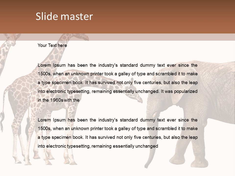 Tall Closeup Powerful PowerPoint Template