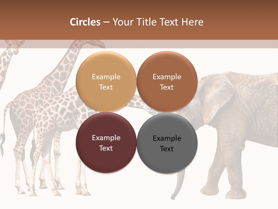 Tall Closeup Powerful PowerPoint Template