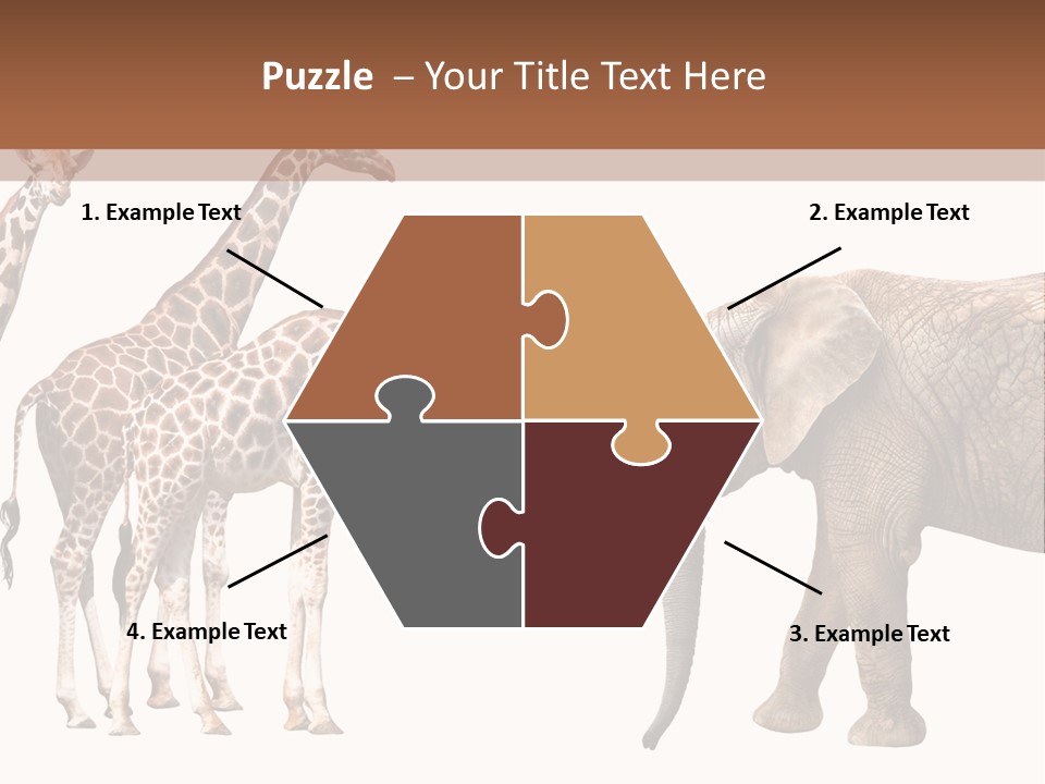 Tall Closeup Powerful PowerPoint Template