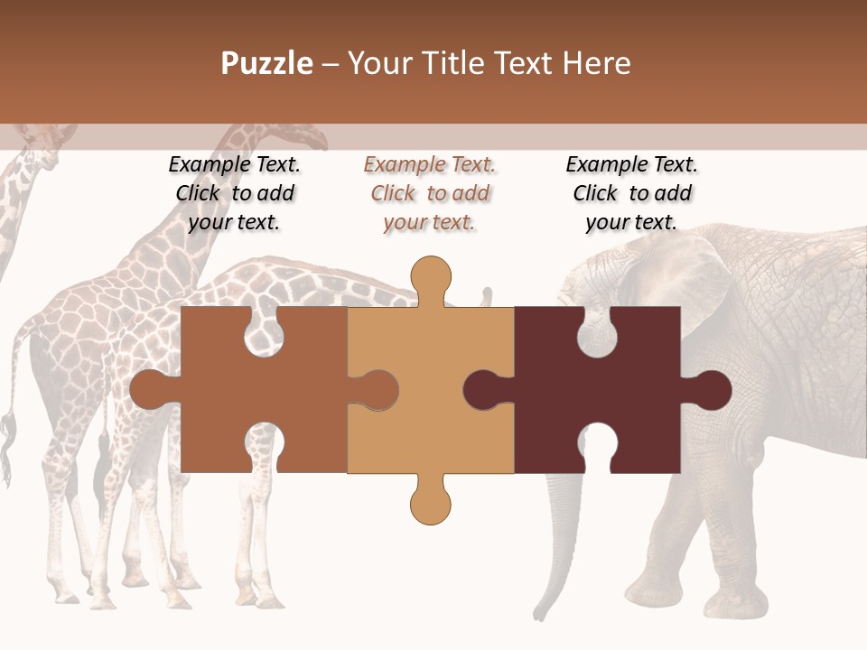 Tall Closeup Powerful PowerPoint Template