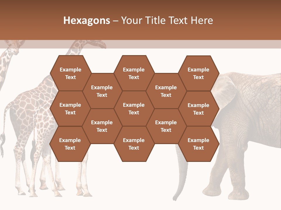 Tall Closeup Powerful PowerPoint Template