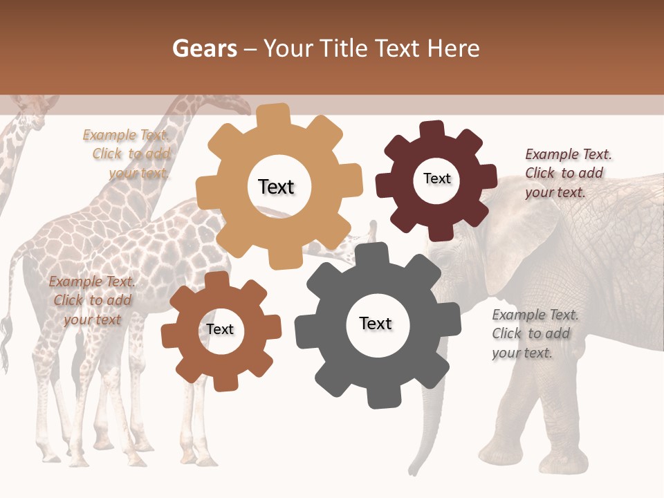 Tall Closeup Powerful PowerPoint Template