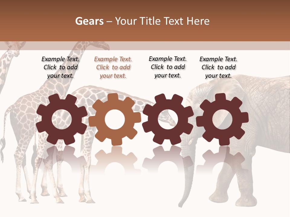 Tall Closeup Powerful PowerPoint Template