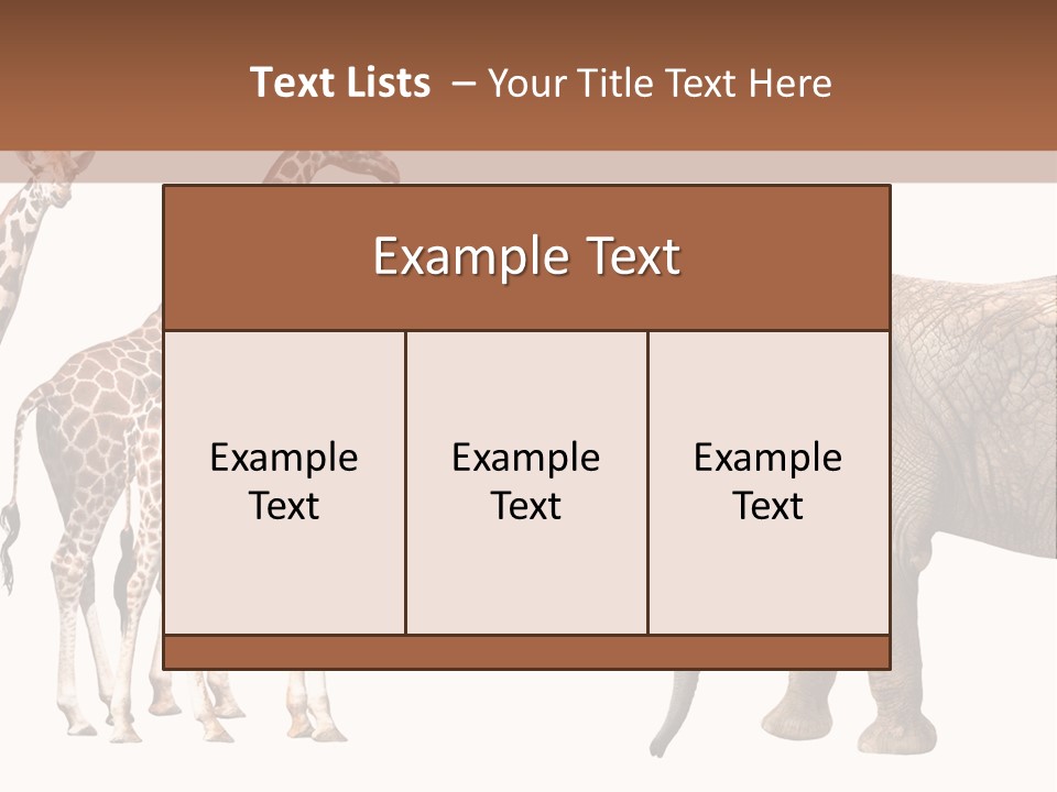 Tall Closeup Powerful PowerPoint Template