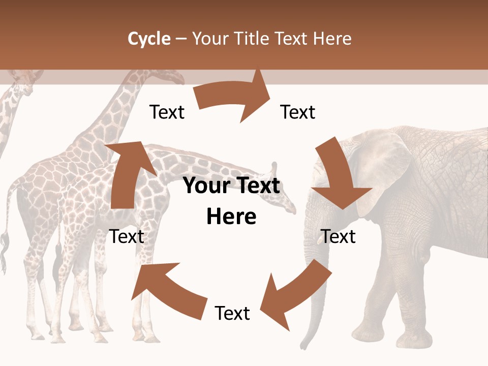 Tall Closeup Powerful PowerPoint Template