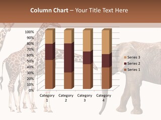 Tall Closeup Powerful PowerPoint Template