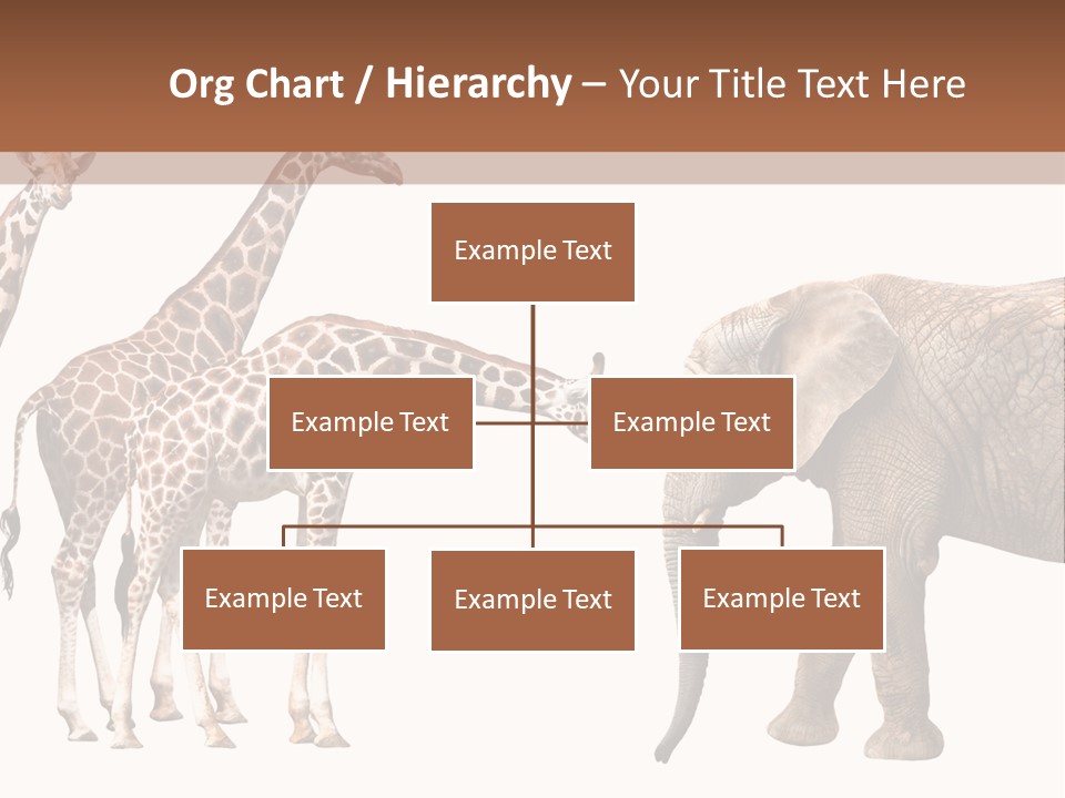 Tall Closeup Powerful PowerPoint Template