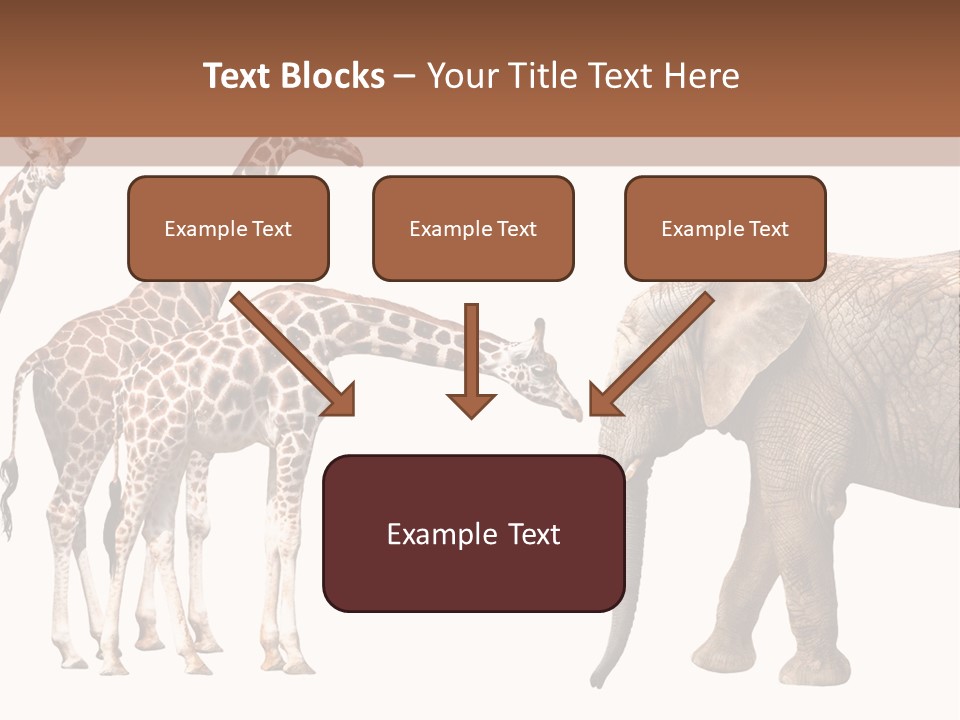 Tall Closeup Powerful PowerPoint Template