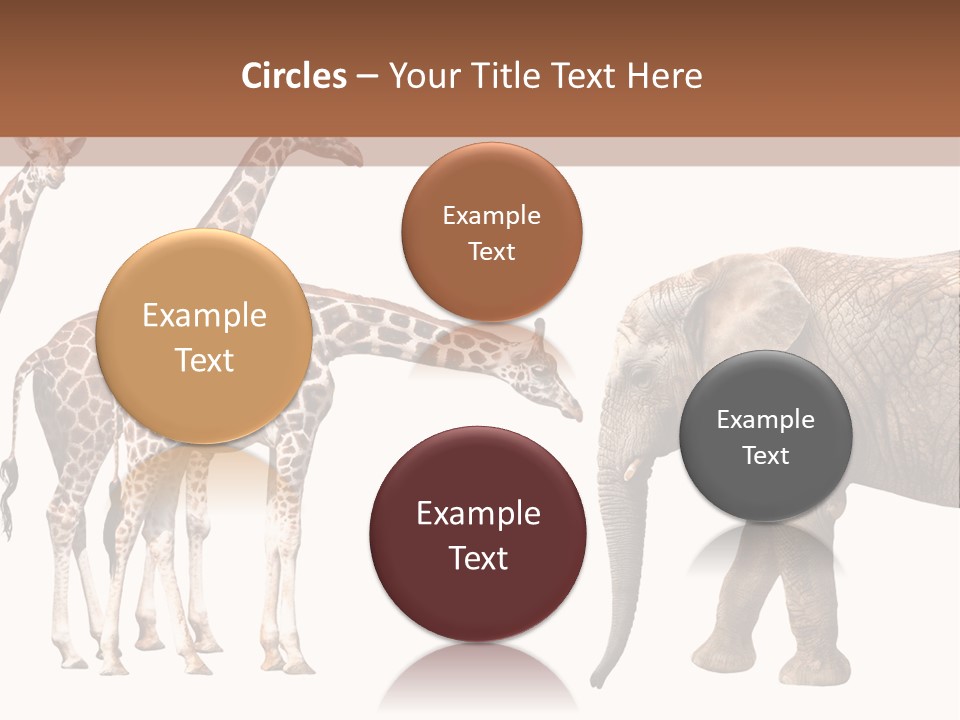 Tall Closeup Powerful PowerPoint Template