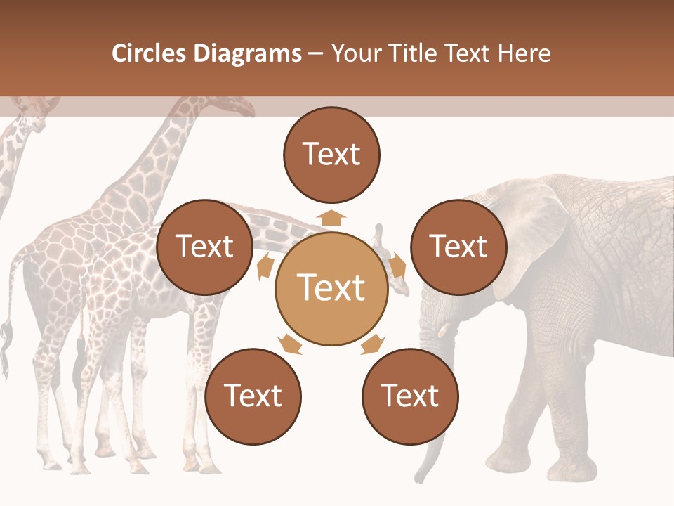 Tall Closeup Powerful PowerPoint Template