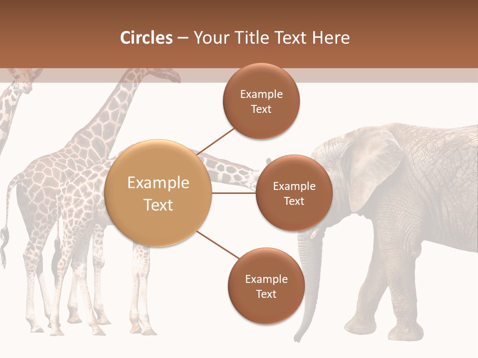 Tall Closeup Powerful PowerPoint Template
