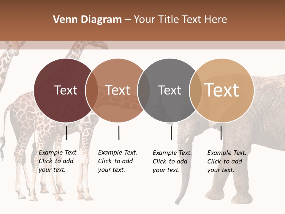 Tall Closeup Powerful PowerPoint Template