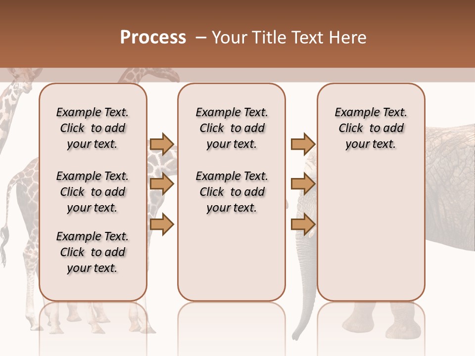 Tall Closeup Powerful PowerPoint Template