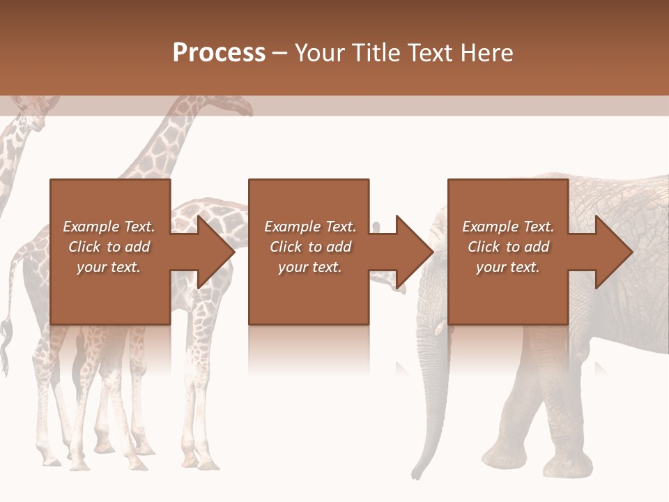 Tall Closeup Powerful PowerPoint Template
