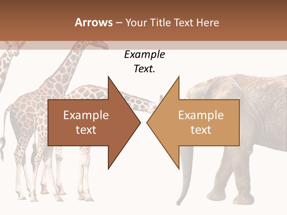 Tall Closeup Powerful PowerPoint Template