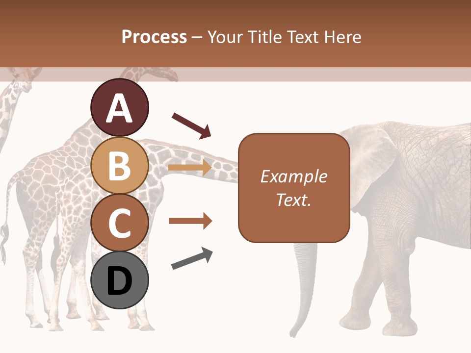 Tall Closeup Powerful PowerPoint Template